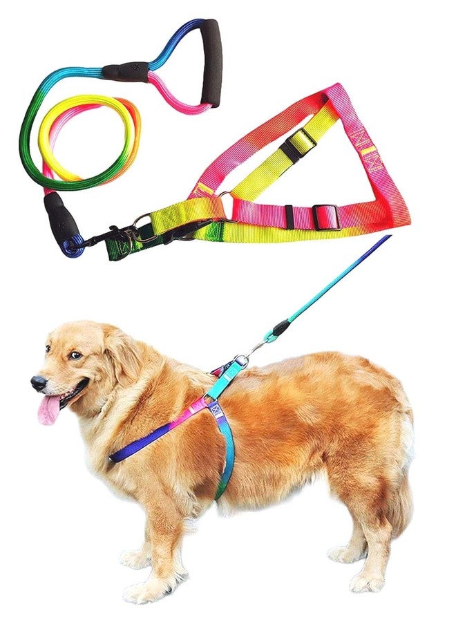 طقم حزام صدر قابل للتعديل ومقود للكلاب من Pups&Pets | حزام أمان من النايلون بألوان قوس قزح مانع للشد مع مقود مبطن بطول 50 بوصة للكلاب متوسطة الحجم (عرض 1 بوصة، قابل للتعديل من 46 إلى 68 سم)